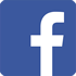 flat facebook icon sm